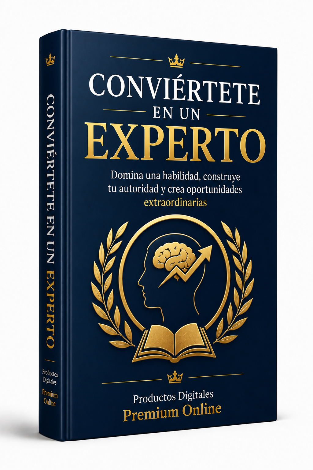 Conviértete en un Experto
